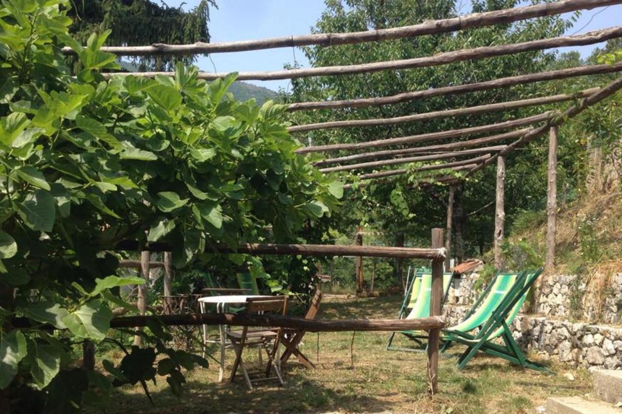 Agriturismo Di Charme E Ristorante Stallato Il Filo Di Paglia Carro エクステリア 写真