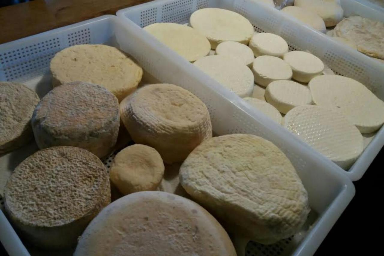 Agriturismo Di Charme E Ristorante Stallato Il Filo Di Paglia Carro エクステリア 写真