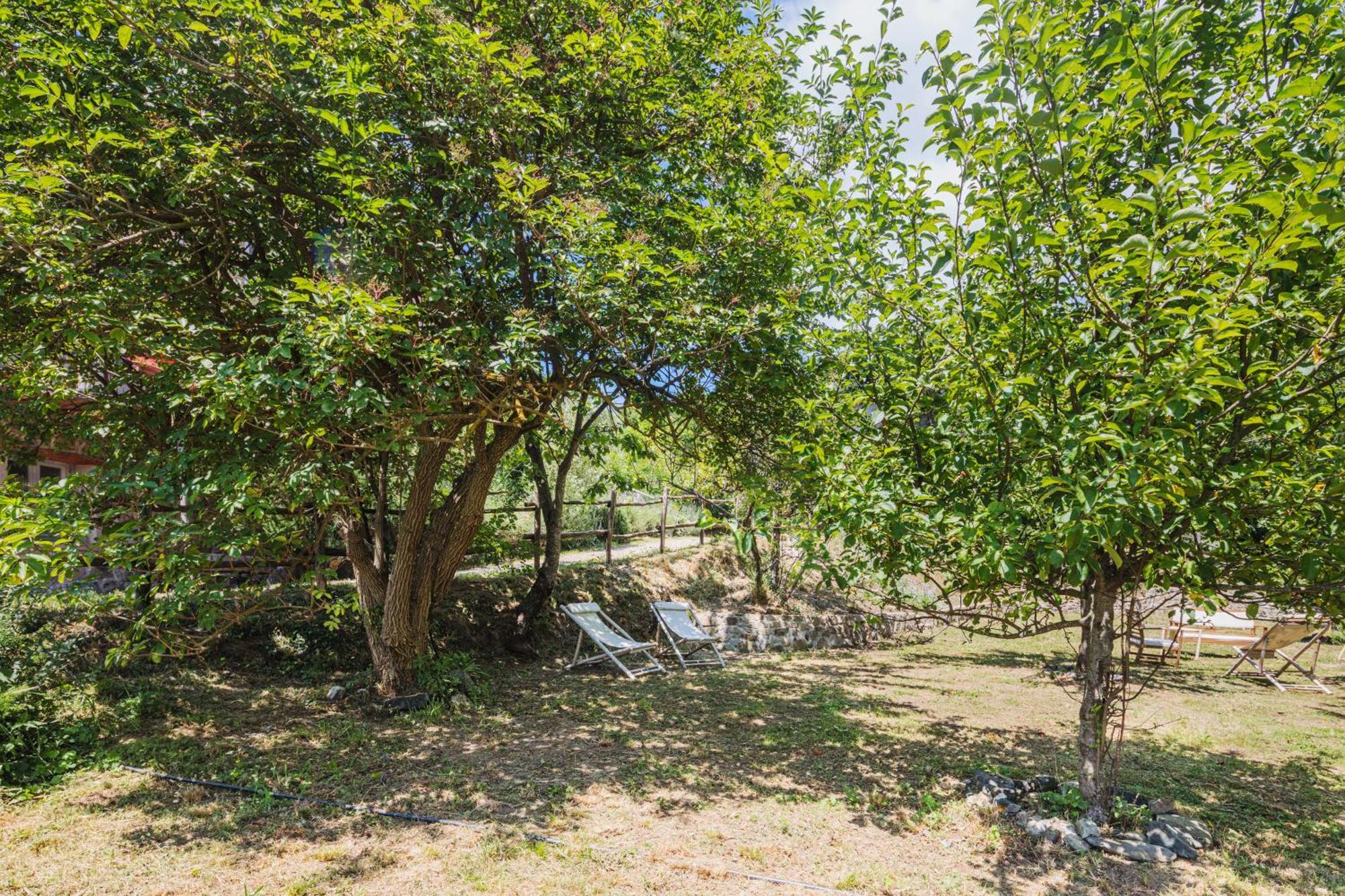 Agriturismo Di Charme E Ristorante Stallato Il Filo Di Paglia Carro エクステリア 写真
